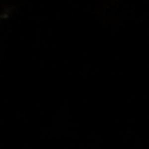 Meet your Posher, Daphne